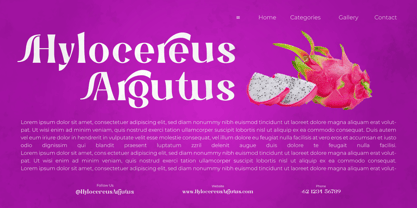 Groyste Font Poster 4