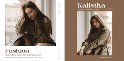 Dailen Font Poster 3