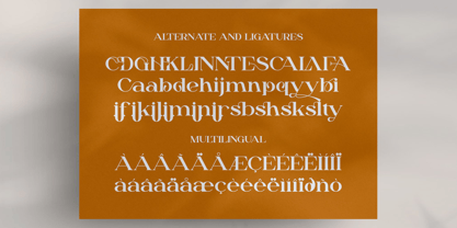 Dailen Font Poster 10