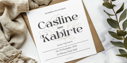 Dailen Font Poster 7