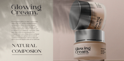 Dailen Font Poster 5