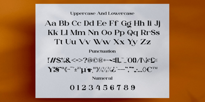 Dailen Font Poster 8