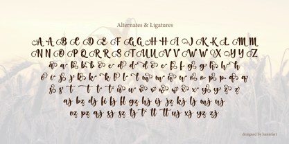 Agrista Font Poster 9