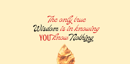 Marlean Font Poster 3