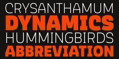 Scrantium Font Poster 7