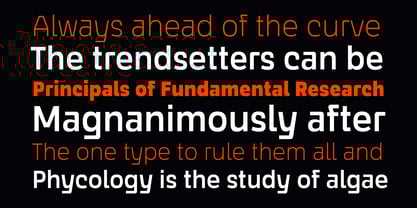 Scrantium Font Poster 6