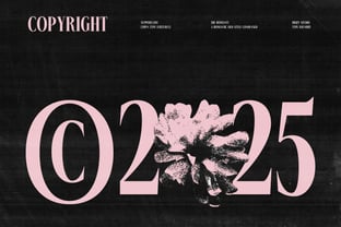 The Romanty Font Poster 3