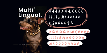 Tulisan Ngawur Font Poster 8