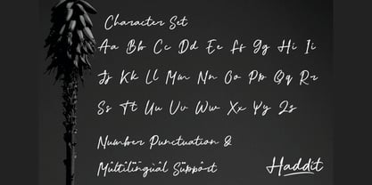 Haddit Font Poster 3