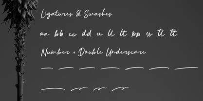 Haddit Font Poster 2