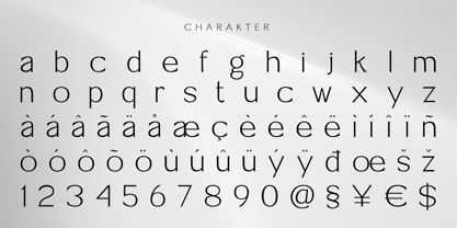 Rithereal Font Poster 4