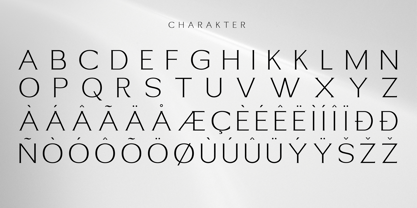 Rithereal Font Poster 2