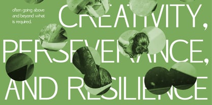 Mellowly Font Poster 5