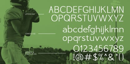 Mellowly Font Poster 2