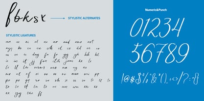 Beauty Indramayu Font Poster 6