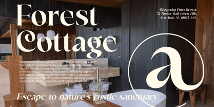 Victoria Culture Font Poster 5