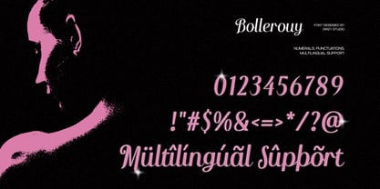 Bollerouy Font Poster 6