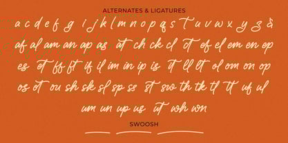 Rondly Vintage Font Poster 8