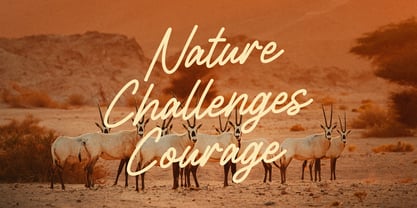 Rondly Vintage Font Poster 2