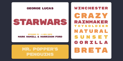 Zenova Font Poster 7