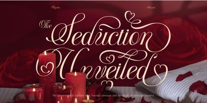 Berlyana Sensual Font Poster 14