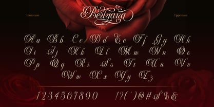 Berlyana Sensual Font Poster 4