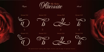Berlyana Sensual Font Poster 13