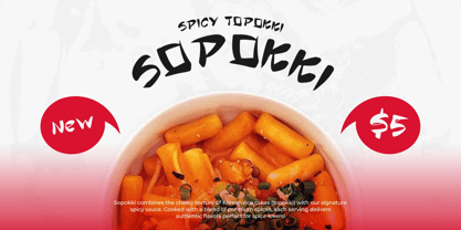 Tanako Gaichi Font Poster 8