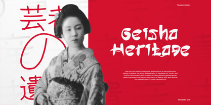 Tanako Gaichi Font Poster 3