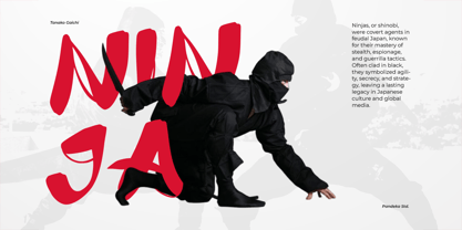 Tanako Gaichi Font Poster 7