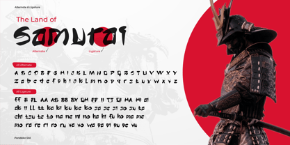 Tanako Gaichi Font Poster 2