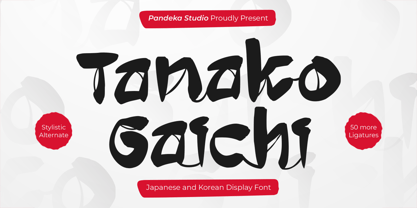 Tanako Gaichi Font Poster 1