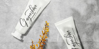 Sunshine Daytimes Font Poster 11