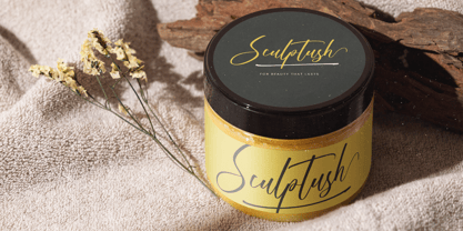 Sunshine Daytimes Font Poster 6