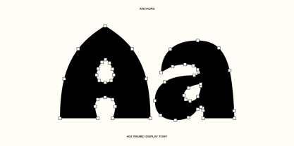 403 Pambo Font Poster 9