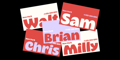 403 Pambo Font Poster 11