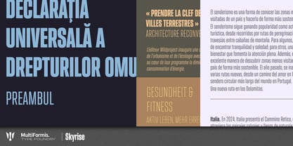 Skyrise Font Poster 2