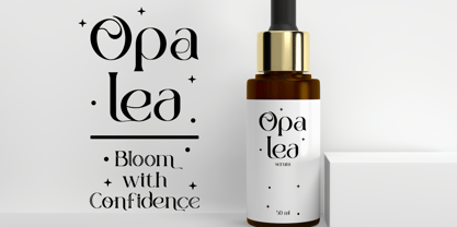 Corvail Font Poster 9