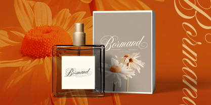 Starglace Font Poster 6