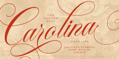 Starglace Font Poster 10