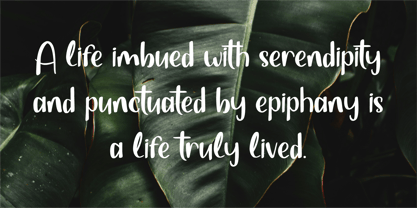 CF Serenity Loop Font Poster 4