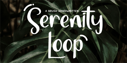 CF Serenity Loop Font Poster 1