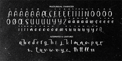 CF Serenity Loop Font Poster 5