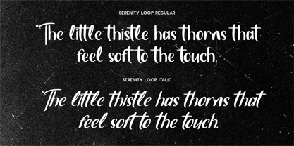 CF Serenity Loop Font Poster 6