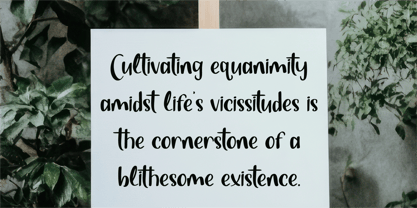 CF Serenity Loop Font Poster 7