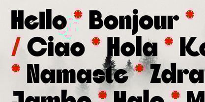 SLTF Skybury Font Poster 7