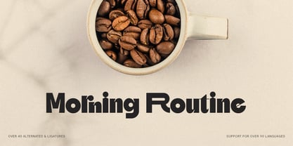 SLTF Skybury Font Poster 6