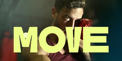 SLTF Skybury Font Poster 8