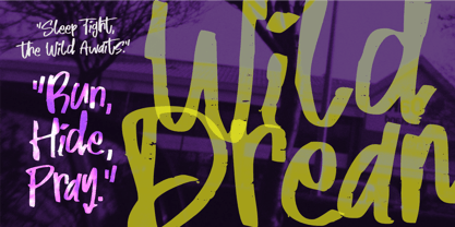 South Paul Font Poster 5