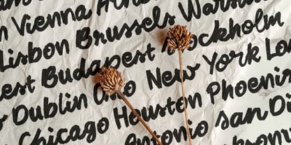 SLTF Midnight Chianti Font Poster 4